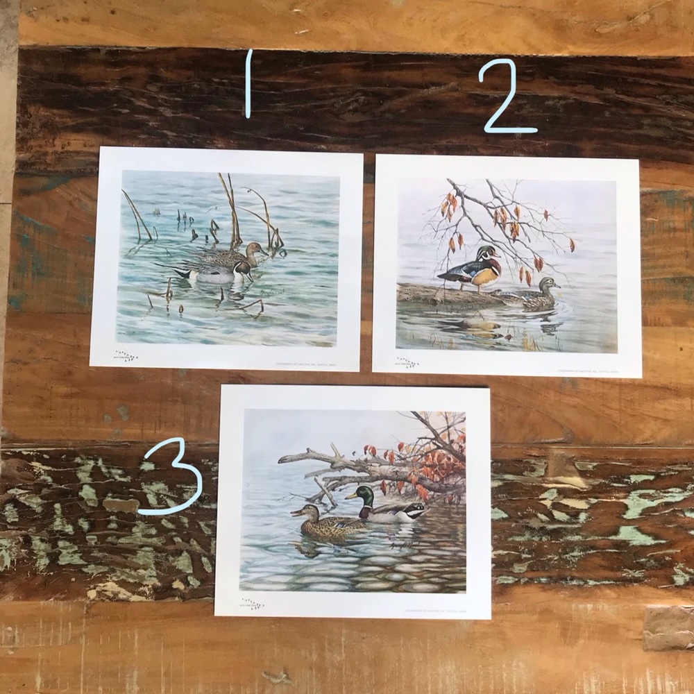 Gary E. Neel Duck Prints